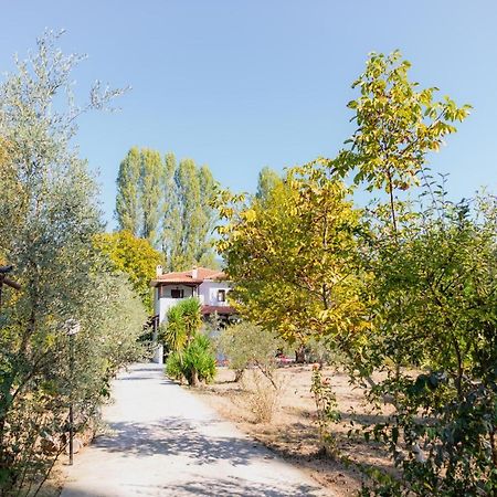 קאלה נרה Diamond Farm Villa מראה חיצוני תמונה