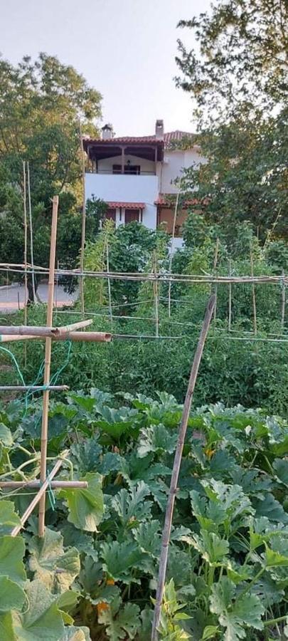 קאלה נרה Diamond Farm Villa מראה חיצוני תמונה