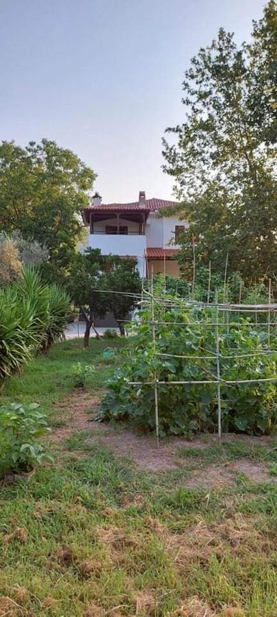 קאלה נרה Diamond Farm Villa מראה חיצוני תמונה