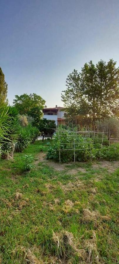 קאלה נרה Diamond Farm Villa מראה חיצוני תמונה