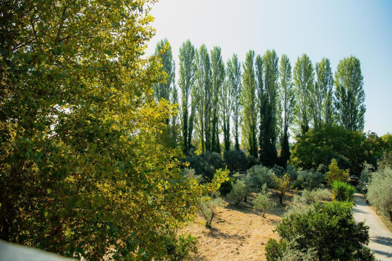 קאלה נרה Diamond Farm Villa מראה חיצוני תמונה